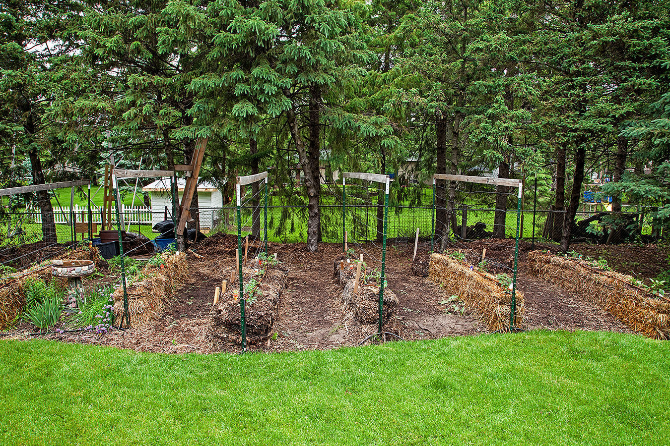 Joel Karsten's garden